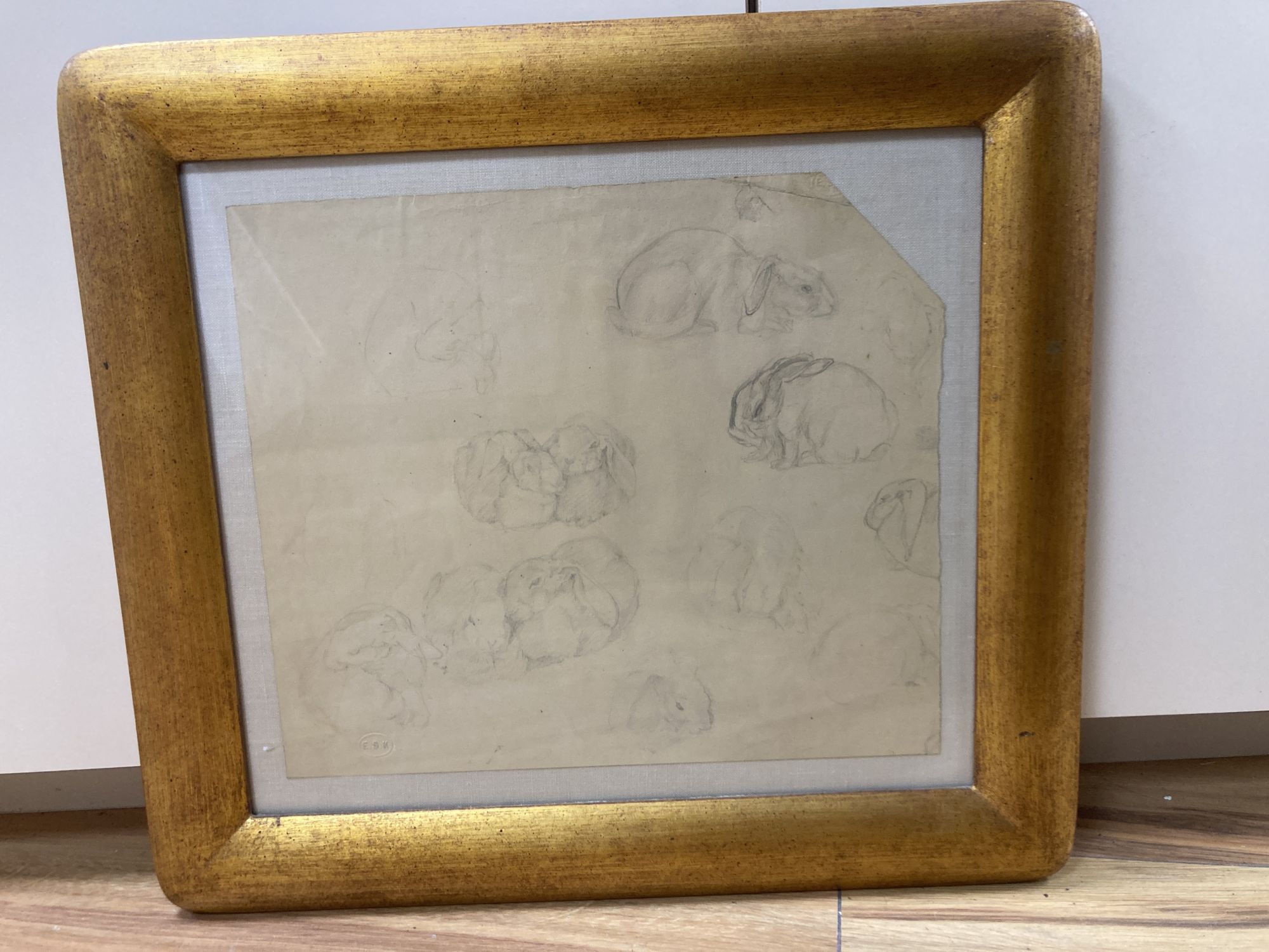 E.S.K, pencil drawing, Student sketch of rabbits, 28 x 32cm